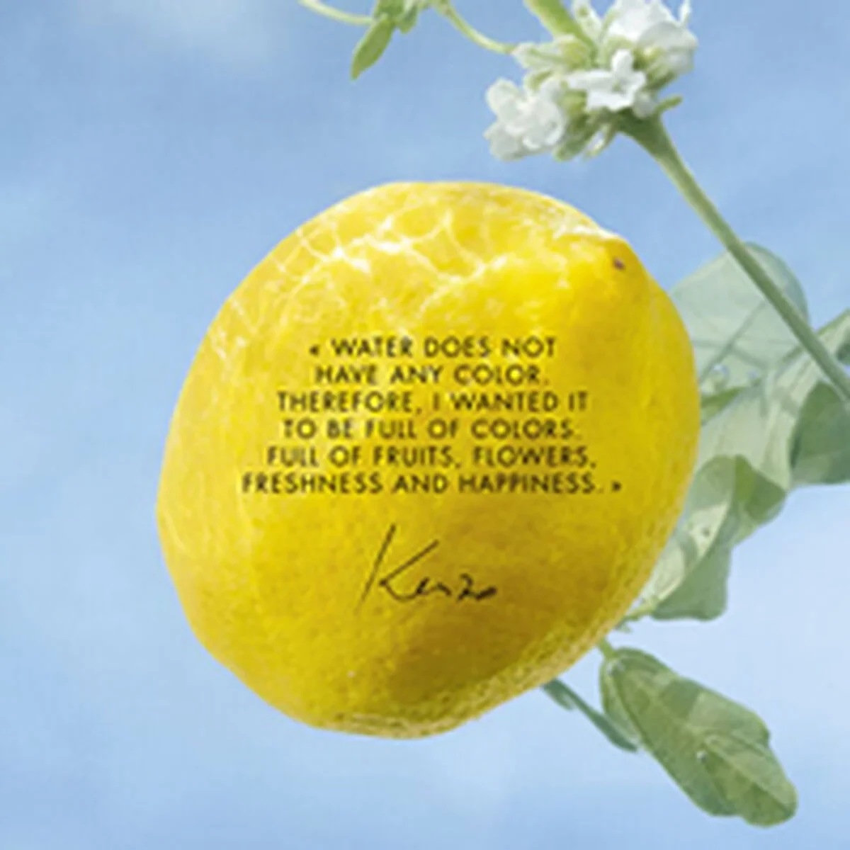 Perfume Unisex Kenzo L'EAU PURE 50 ml