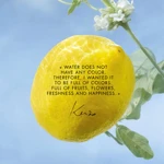 Perfume Unisex Kenzo L'EAU PURE 50 ml