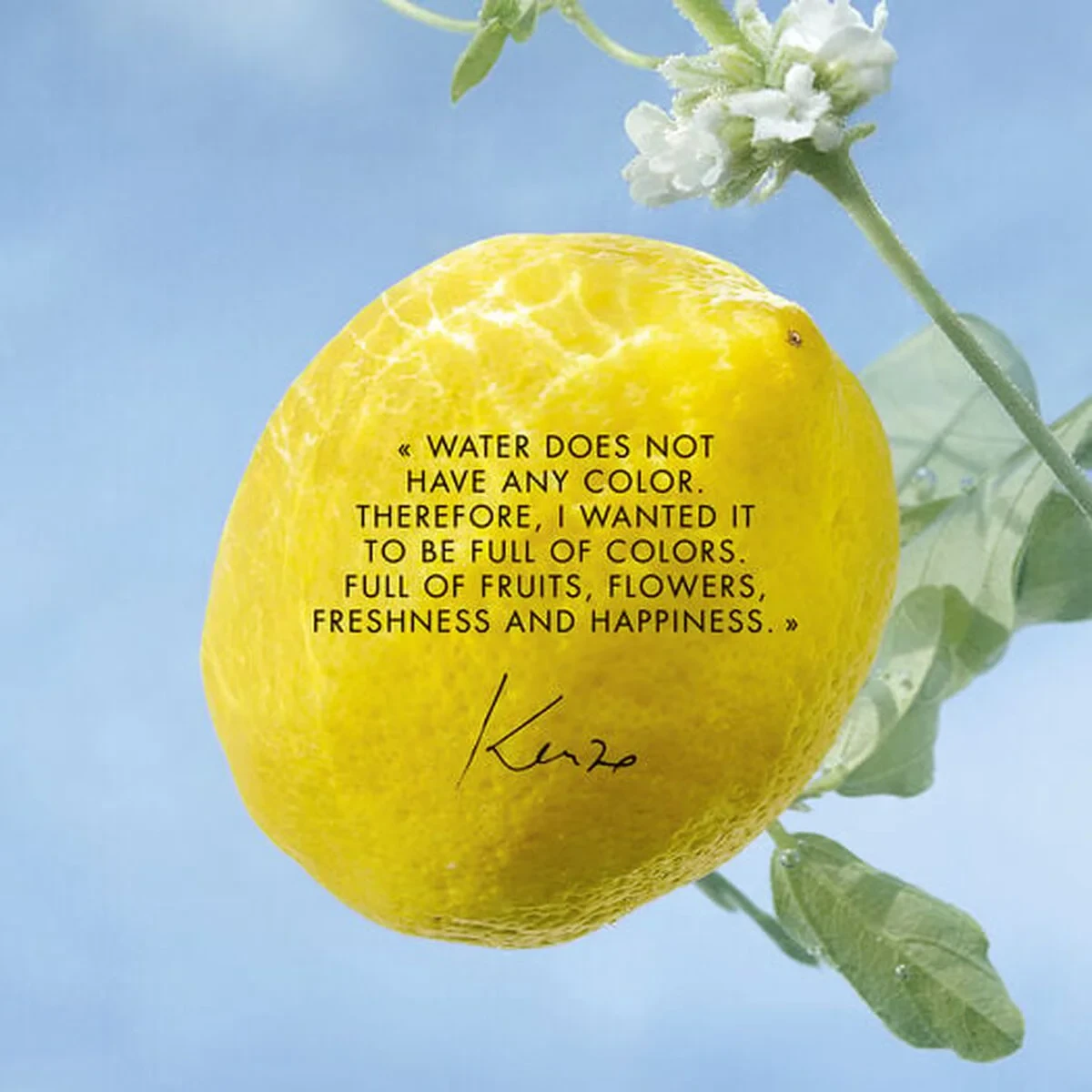 Perfume Unisex Kenzo L'EAU PURE 50 ml