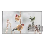 Monitor Videowall LG 55EW5P-M Full HD 55"