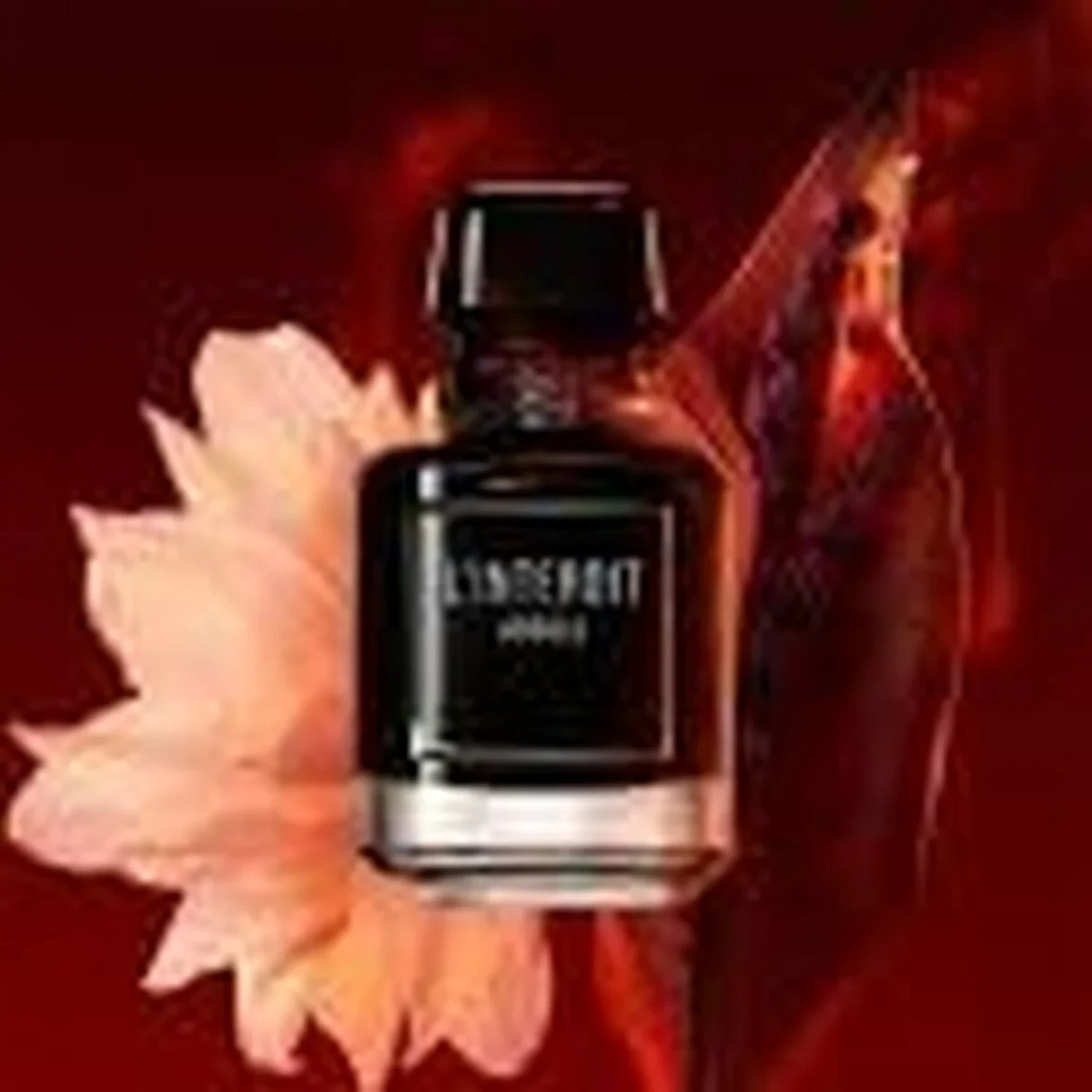 Perfume Mujer Givenchy L'Interdit Absolu L'Interdit Absolu 35 ml