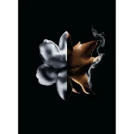 Perfume Mujer Givenchy L'Interdit Absolu L'Interdit Absolu 50 ml