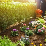 Sistema de riego por goteo Gardena