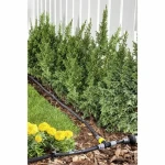 Grifo Kärcher Negro