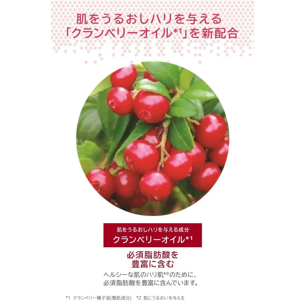 Loción Corporal Melvita L'OR ROSE