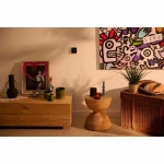 Termostato Home Pilot