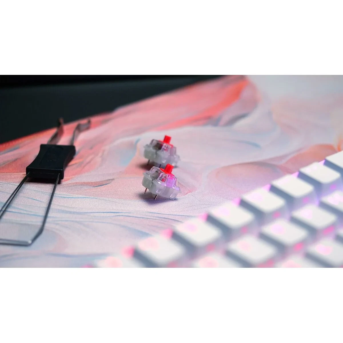 Teclado y Ratón Cherry CXK5V2RGBCPTBLACKRFR