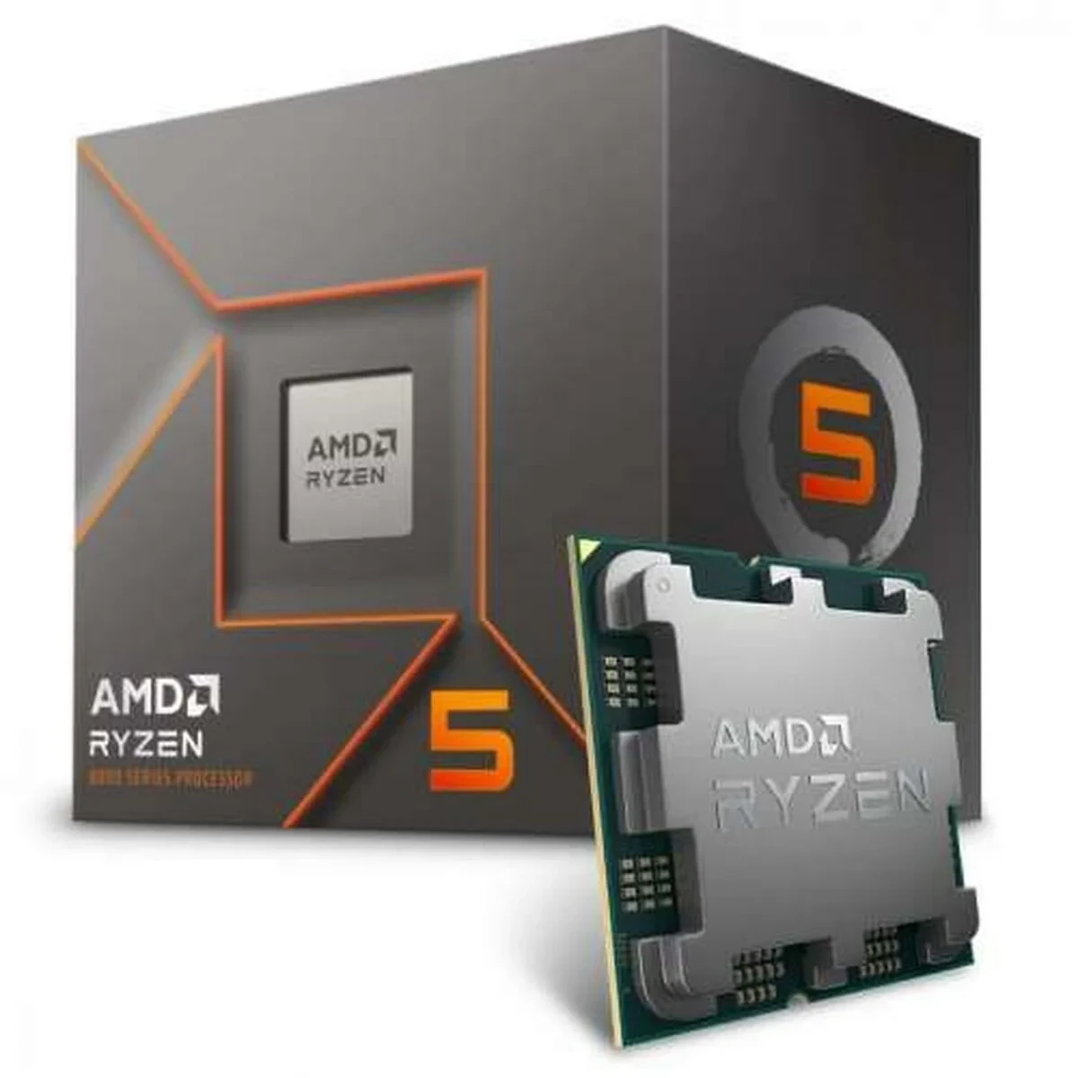 Procesador AMD 100-100001591BOX AMD AM5