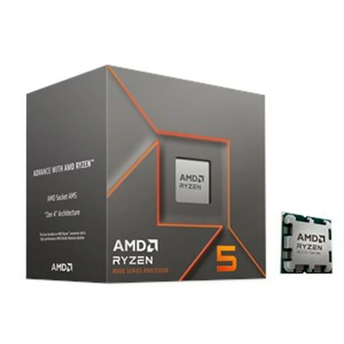 Procesador AMD 100-100001591BOX AMD AM5