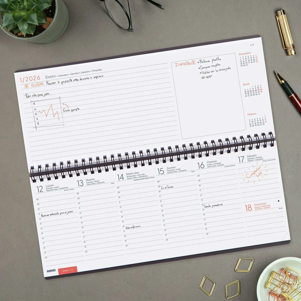 Organizador Finocam Gris Papel 29 x 11,6 cm