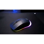 Ratón Cherry Negro 12000 dpi