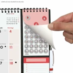 Calendario de pared Finocam Plus Papel 2026 21,5 x 32,5 cm