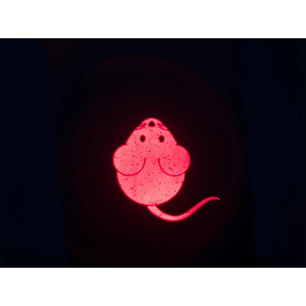 Puntero Láser Trixie