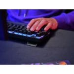 Teclado Gaming Trust 25682 Negro Qwerty Español