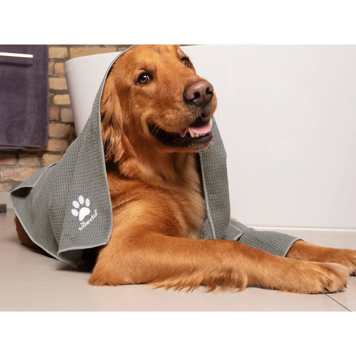 Hojas de Multiherramientas Vileda 172651