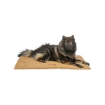 Colchoneta Trixie Marley Ocre 110 × 75 CM Perro