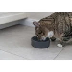 Comedero para Gato Trixie Cerámica Ø 12 cm