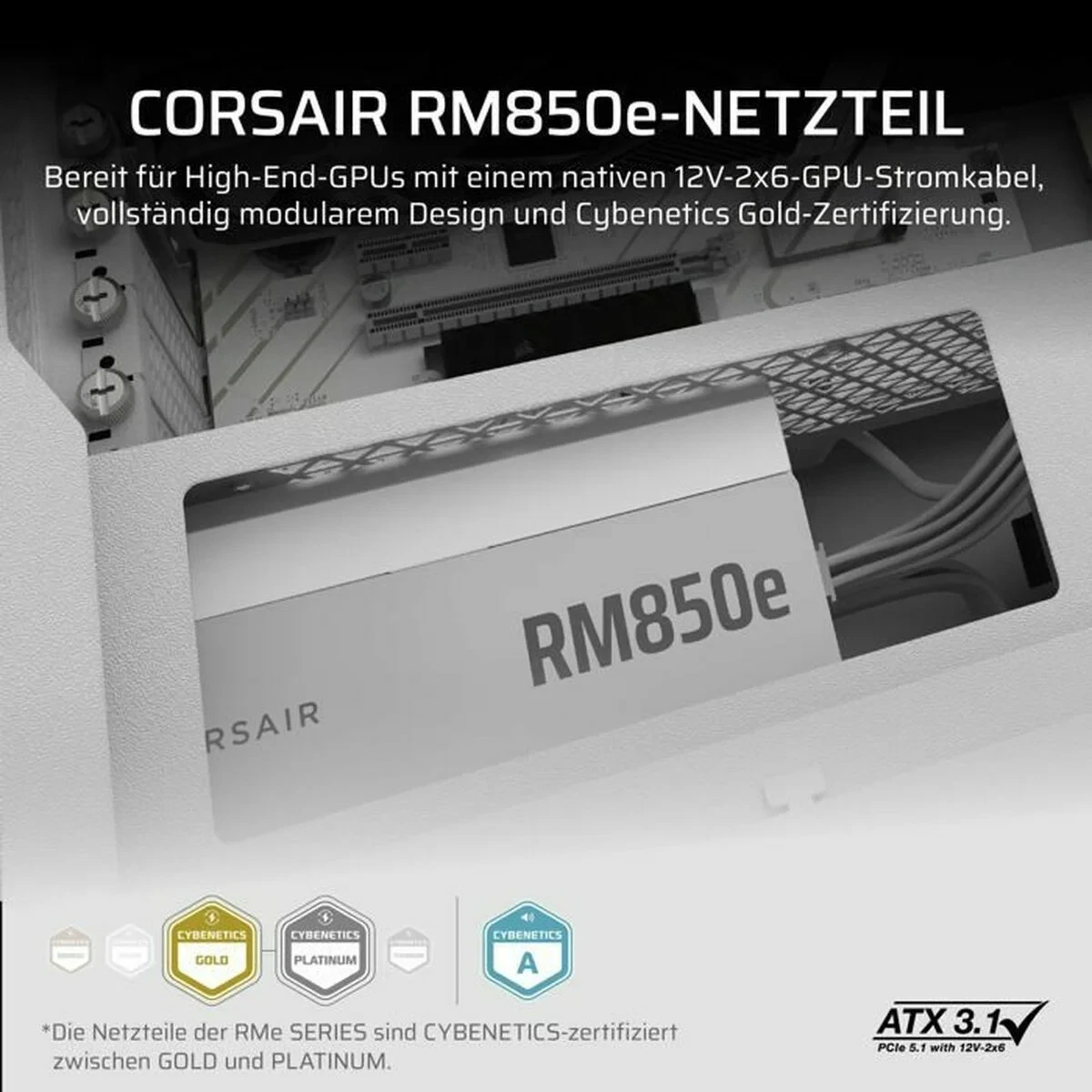 Fuente de Alimentación Corsair CP-9020293-EU 850 W 80 Plus Gold ATX