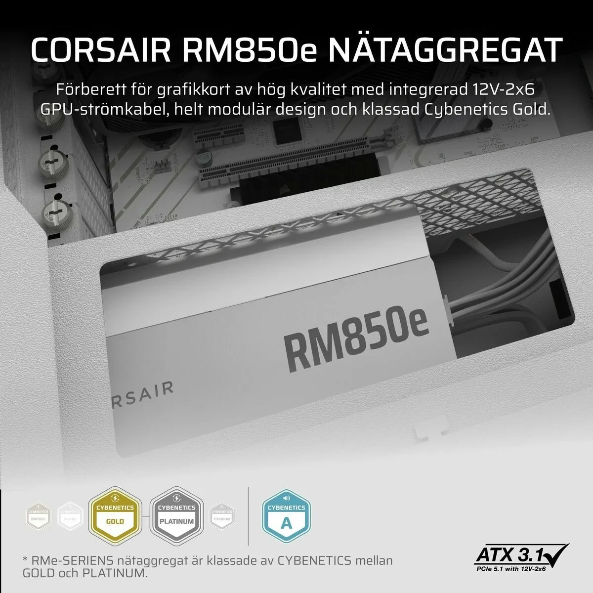 Fuente de Alimentación Corsair CP-9020293-EU 850 W 80 Plus Gold ATX