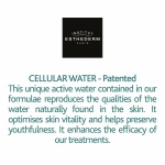 Crema Facial Institut Esthederm EAU CELLULAIRE