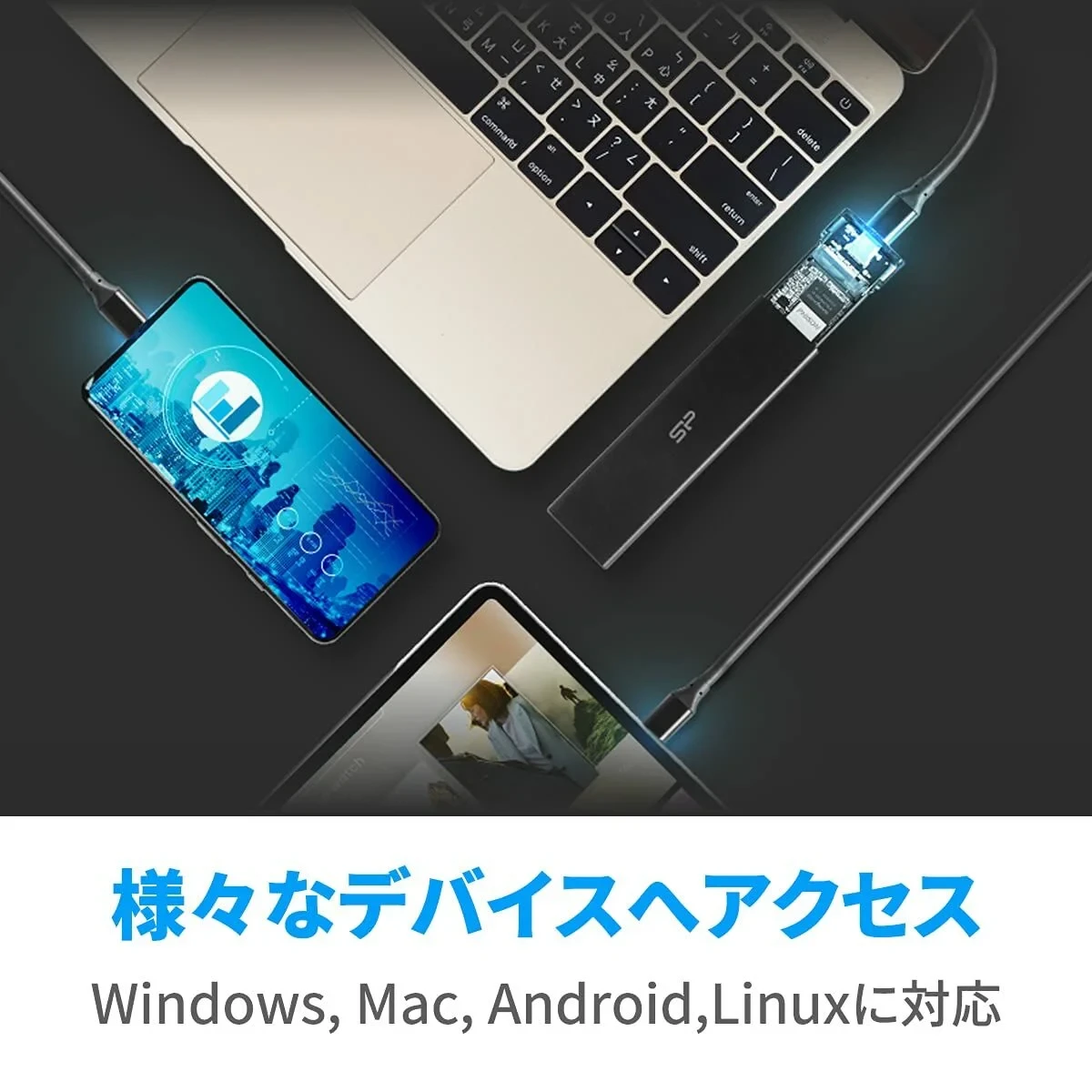 Caja Externa Silicon Power PD60 Negro