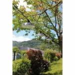 Guirnalda de Luces LED Rio Gris LED 20