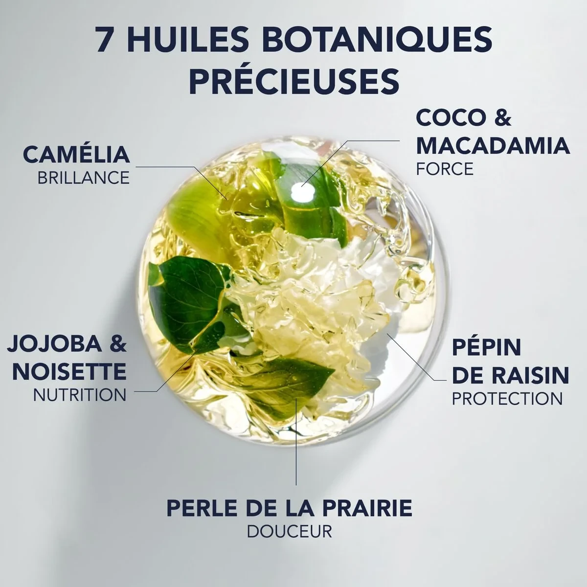 Complemento Alimenticio Phyto Paris NUTRITION 100 ml