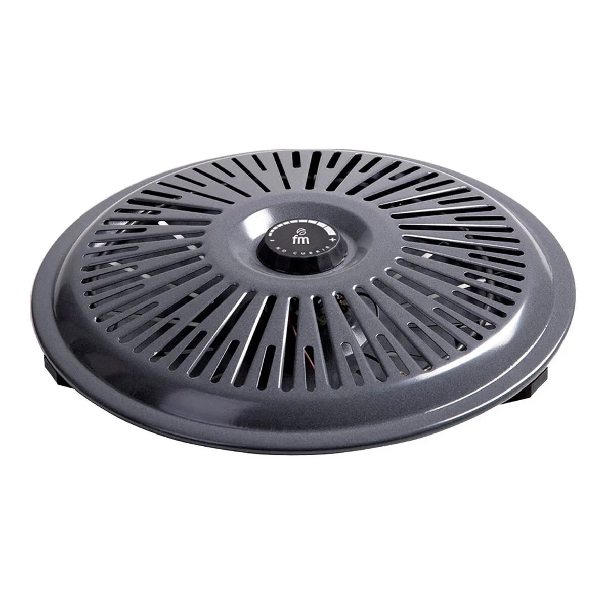 Brasero FM Calefacción B-750 Gris 700 W