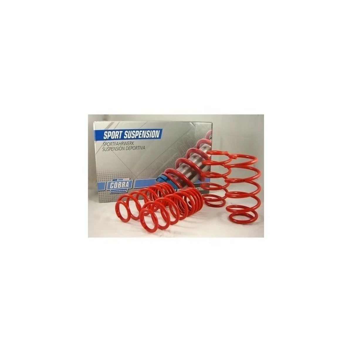 Kit de Muelles Cobra COB005632