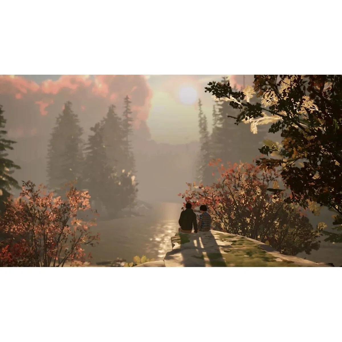 Videojuego para Switch Square Enix Life is Strange 2