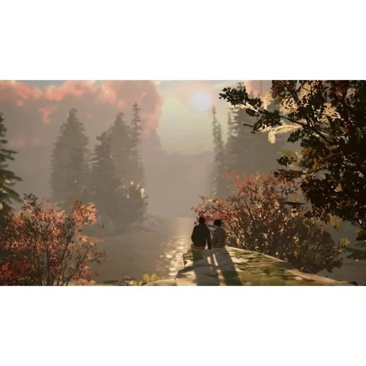 Videojuego para Switch Square Enix Life is Strange 2