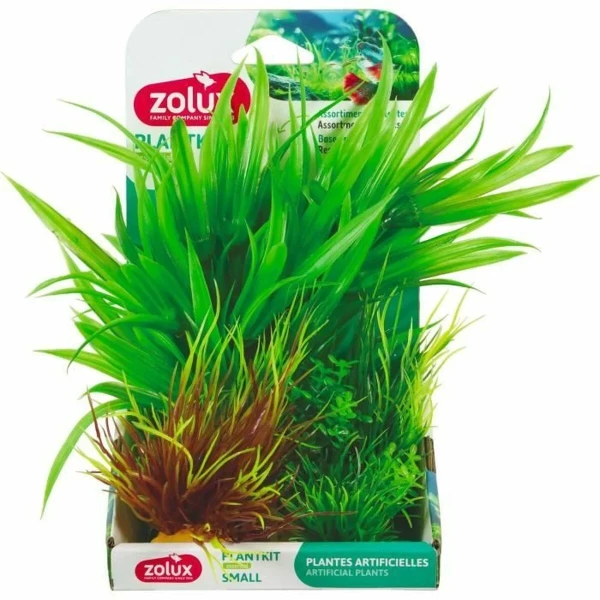Planta Decorativa Zolux