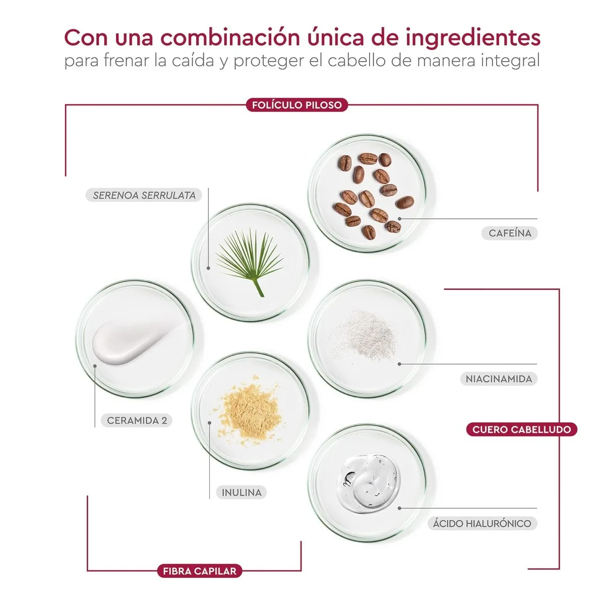 Champú Pilexil PILEXIL CHAMPÚ 450 ml