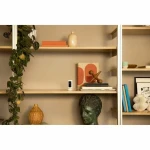 Videocámara de Vigilancia Ring Automotive