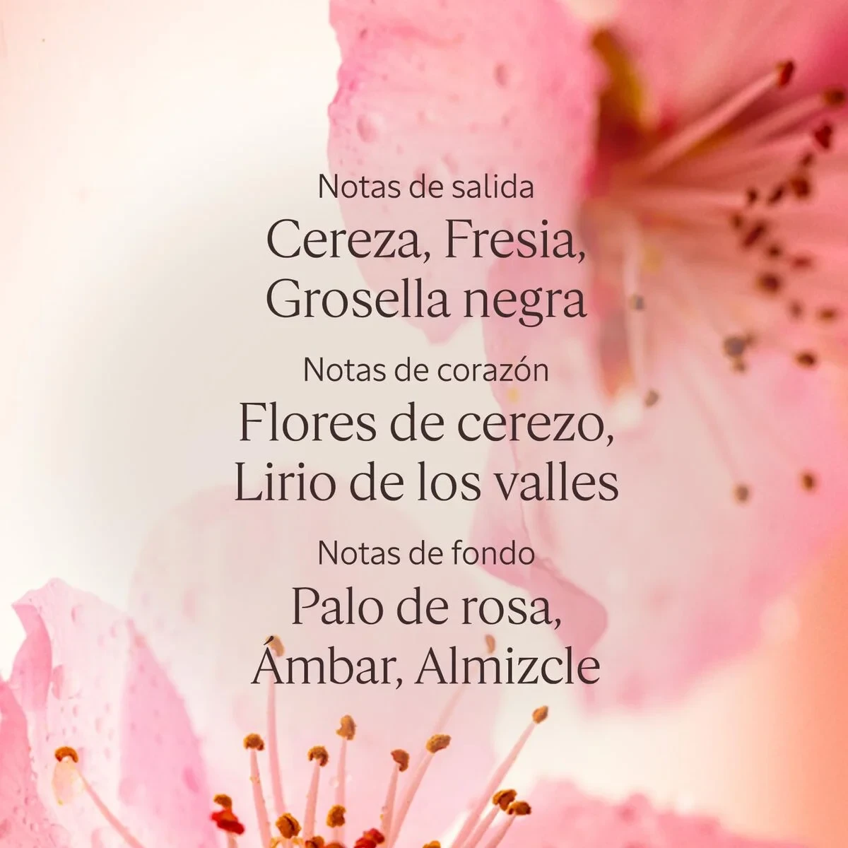 Gel de Ducha L'Occitane En Provence FLEURS DE CERISIER