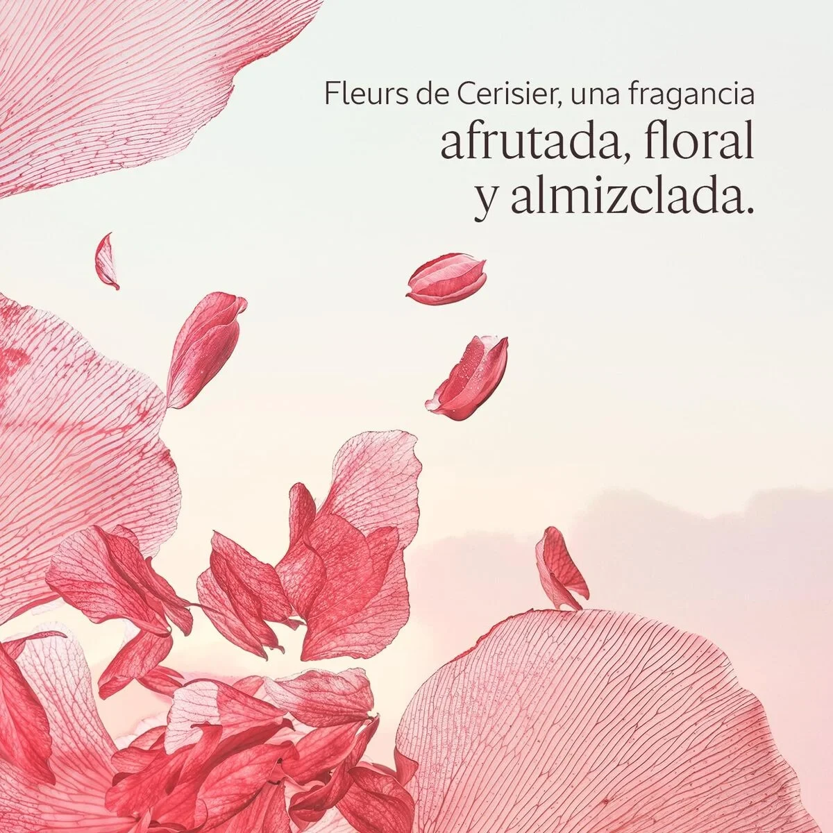 Gel de Ducha L'Occitane En Provence FLEURS DE CERISIER