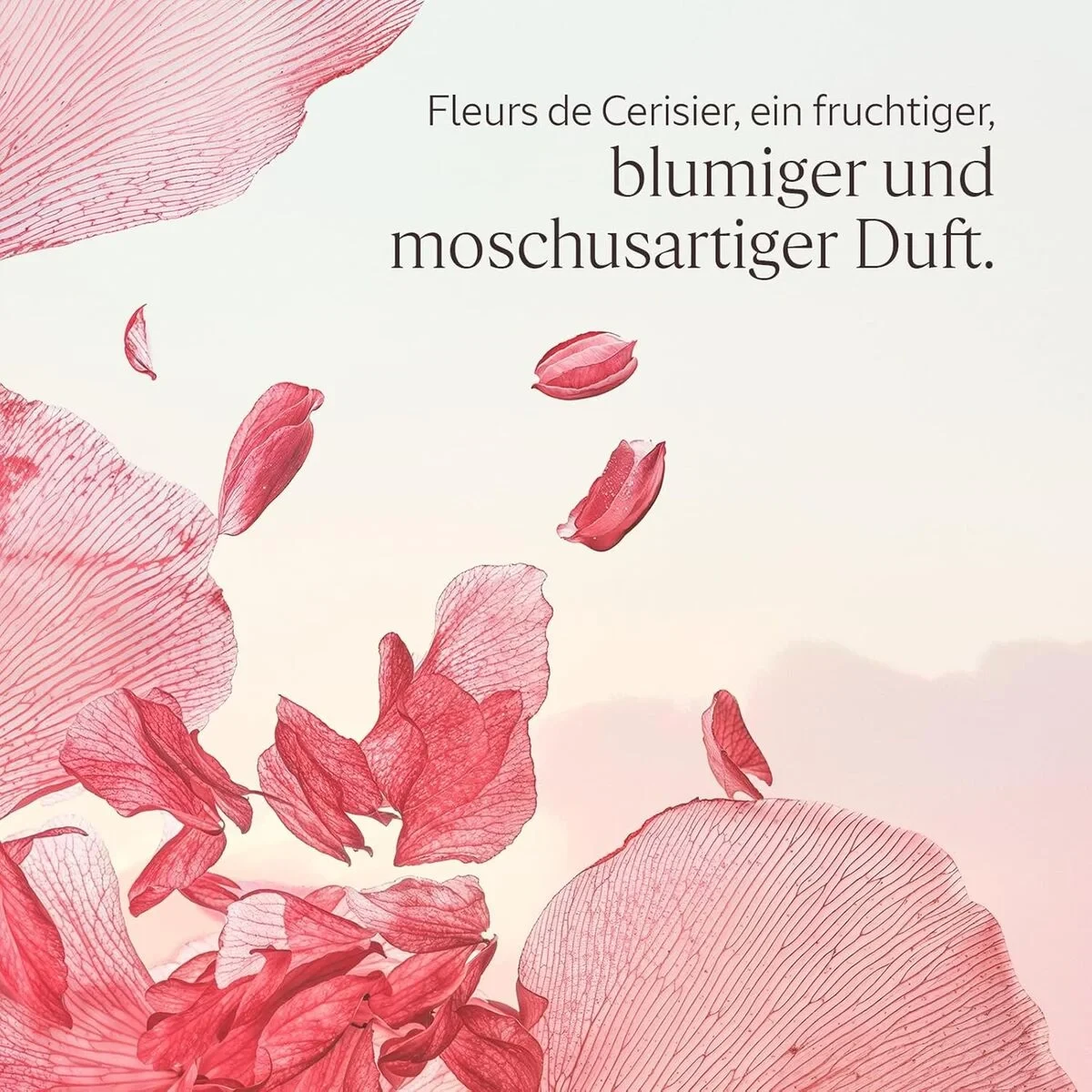 Crema Reductora L'Occitane En Provence FLEURS DE CERISIER