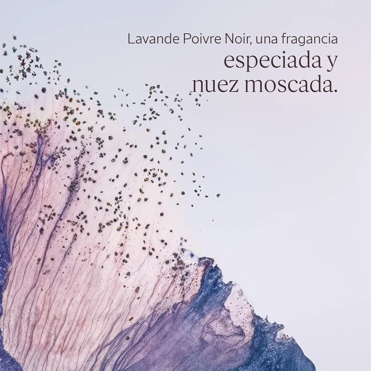 Gel de Ducha L'Occitane En Provence LAVANDE POIVRE NOIR