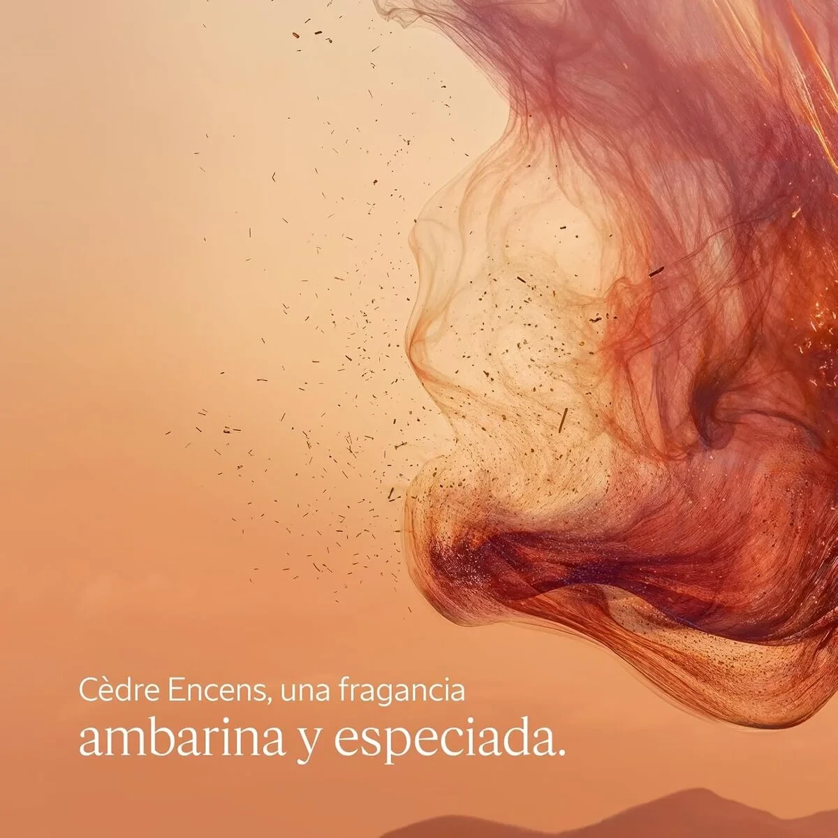 Gel de Ducha L'Occitane En Provence CÉDRE ENCENS