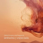 Gel de Ducha L'Occitane En Provence CÉDRE ENCENS