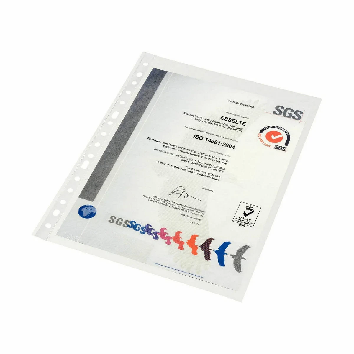 Fundas Esselte Transparente A4 Polipropileno