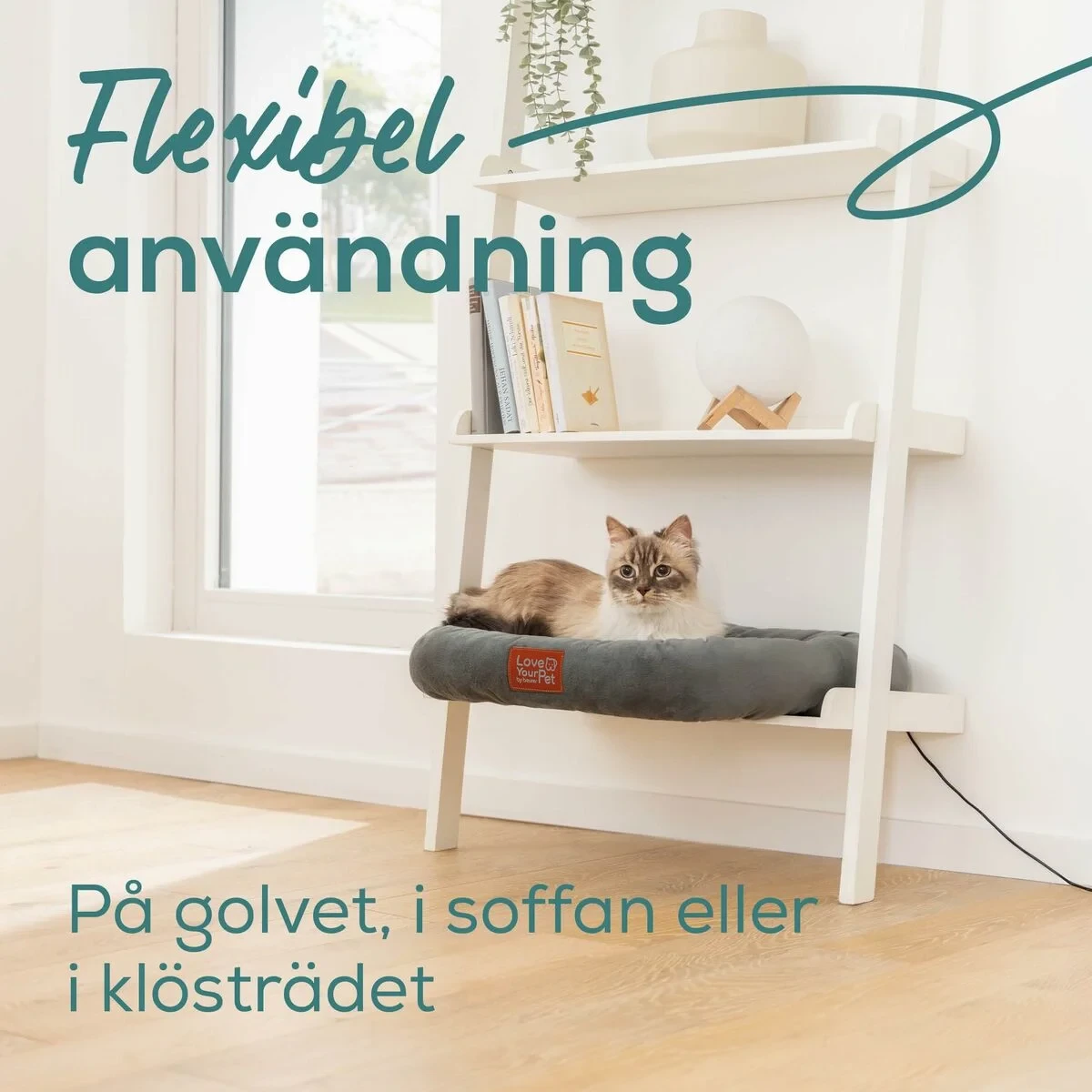 Hidrolimpiadora Beurer PP250 KIRA Gris