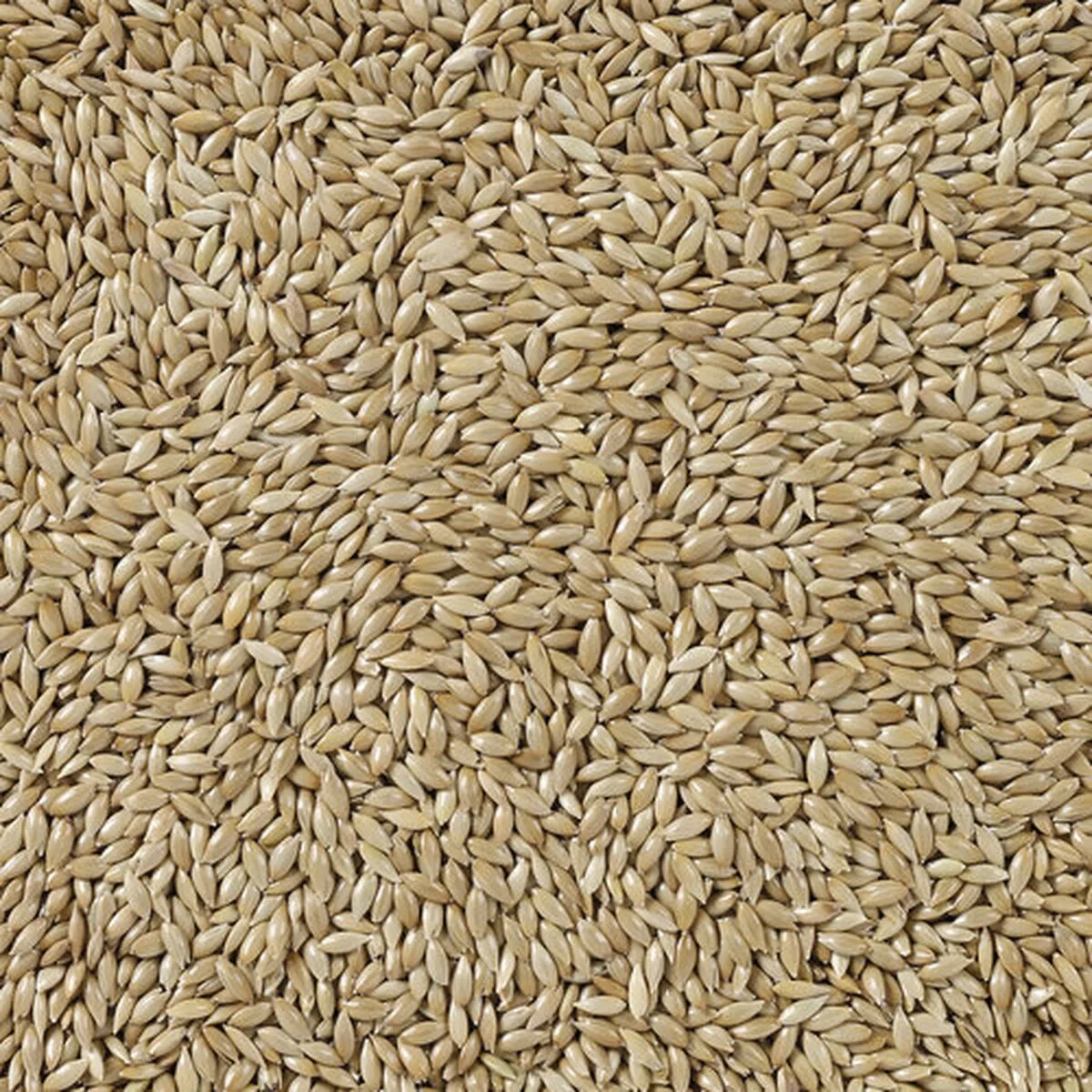 Comida para pájaros Deli Nature Premium 5 kg