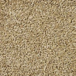 Comida para pájaros Deli Nature Premium 5 kg