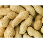 Comida para pájaros Deli Nature Premium 1,6 kg