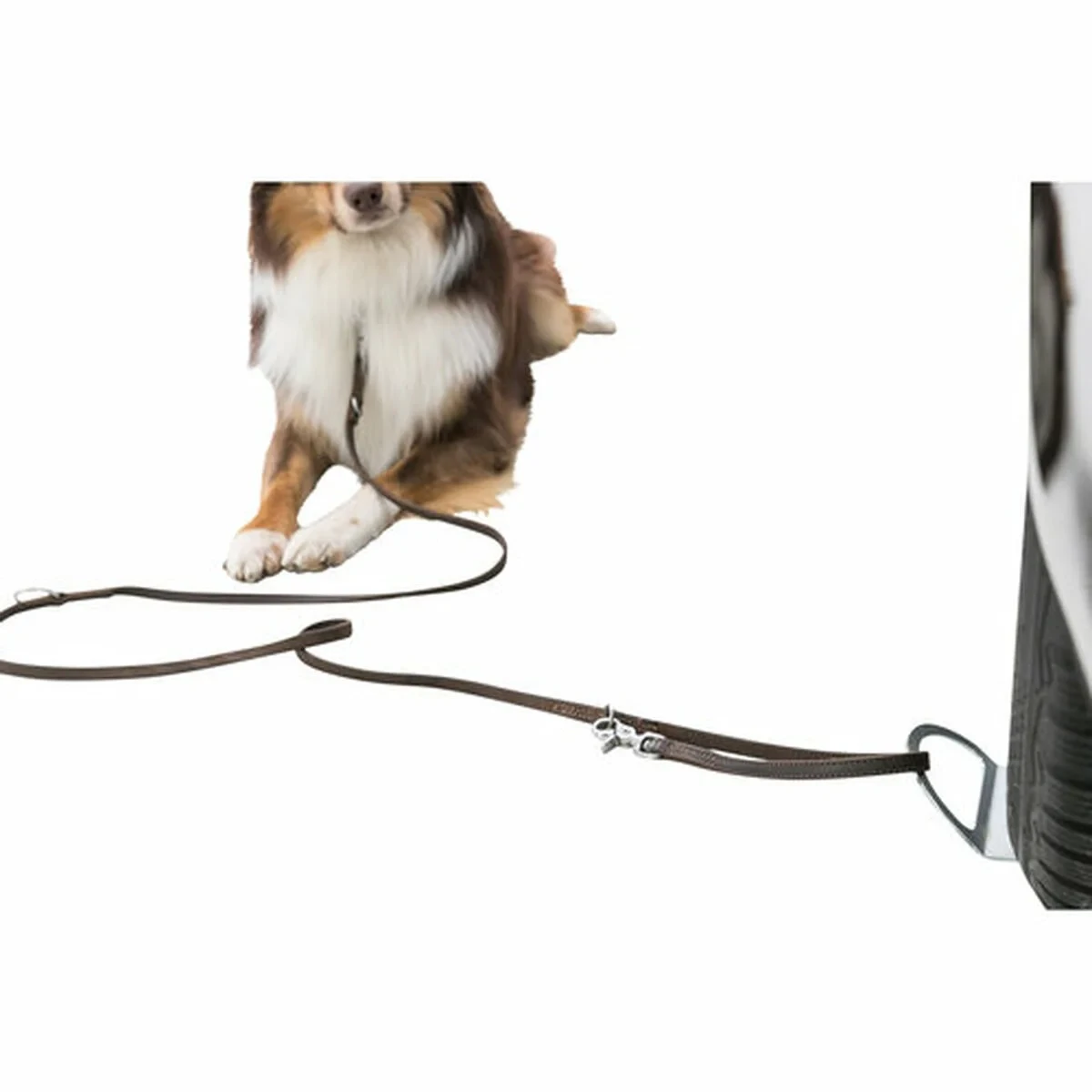 Aparca perros Trixie