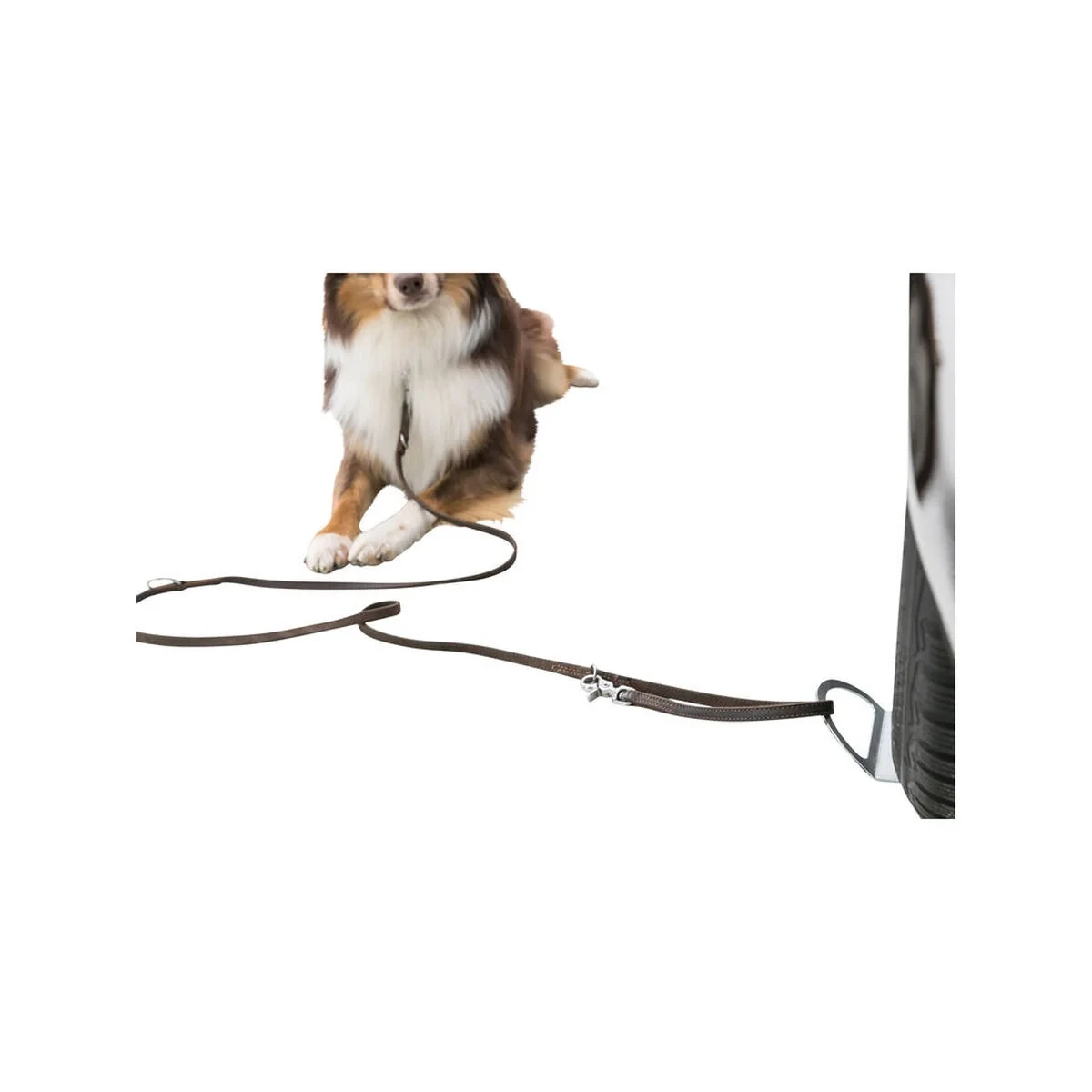 Aparca perros Trixie