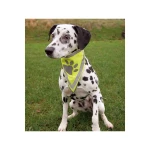 Bandana Reflectante para Mascotas Trixie