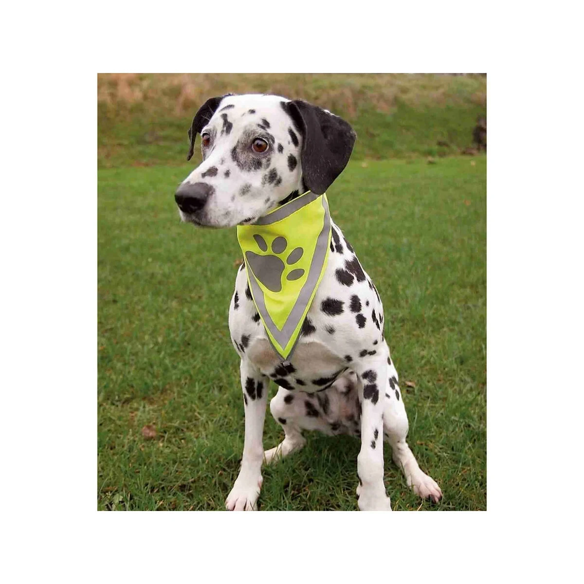 Bandana Reflectante para Mascotas Trixie