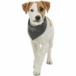 Pañuelo Trixie Perro